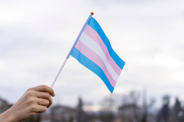 dia-da-visibilidade-trans-a-luta-por-dignidade-e-pelo-direito-de-existir
