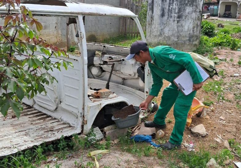 DENGUE - FVS.png
