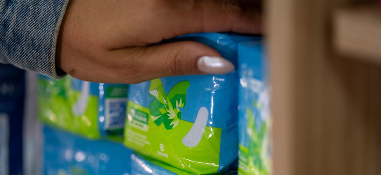 dignidade-menstrual-cartilha-traz-informacoes-sobre-como-ter-acesso-a-absorventes