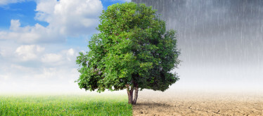 guia-sobre-mudancas-climaticas-orienta-profissionais-de-saude