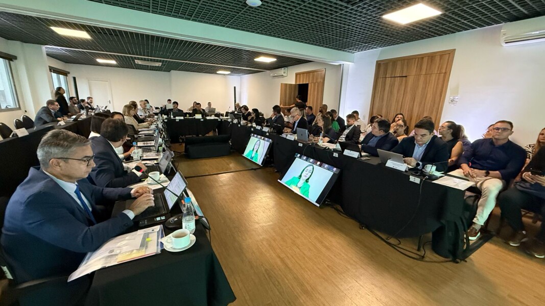 plenario-do-cofen-aprova-regimento-interno-do-27-cbcenf